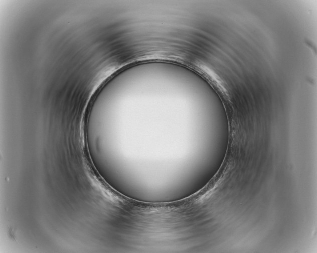 X0000094220892200710260951