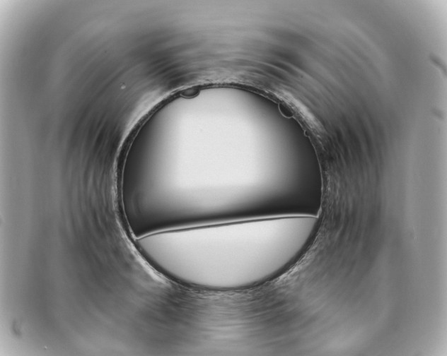 X0000094220894200710260951