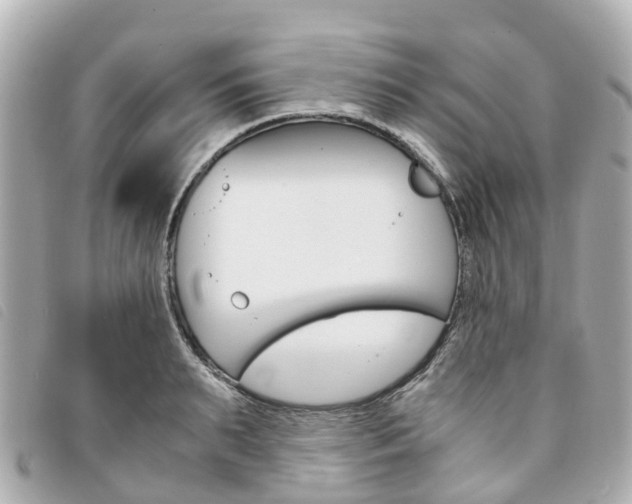 X0000094220895200710260951