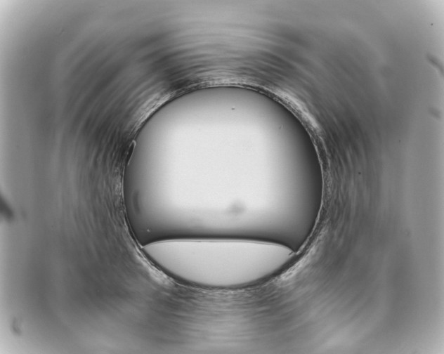 X0000094220897200710260951
