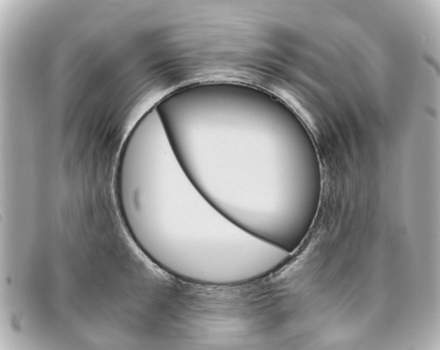 X0000094220901200710260951