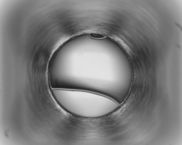 X0000094220902200710260951