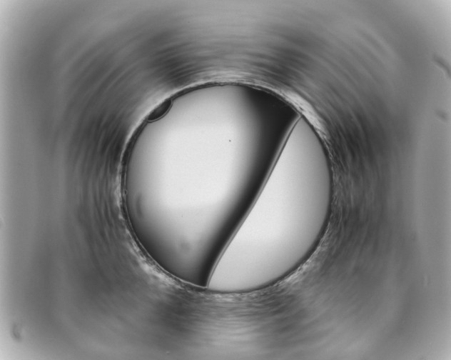 X0000094220904200710260951