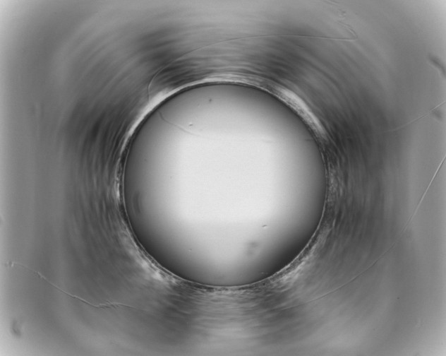 X0000094220908200710260951