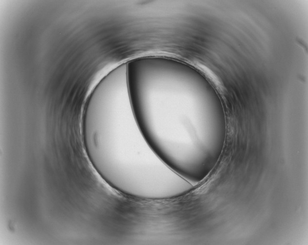 X0000094220910200710260951