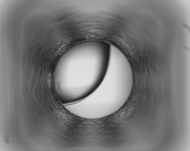 X0000094220915200710260950
