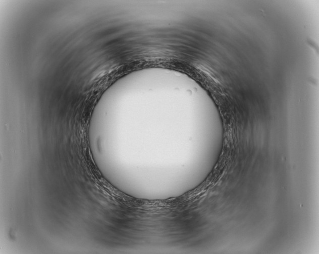 X0000094220917200710260950