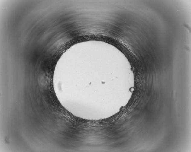 X0000094220918200710260950