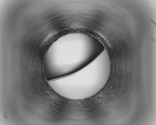 X0000094220919200710260950