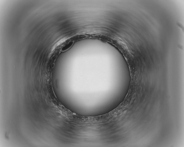 X0000094220920200710260950