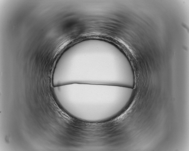 X0000094220921200710260950