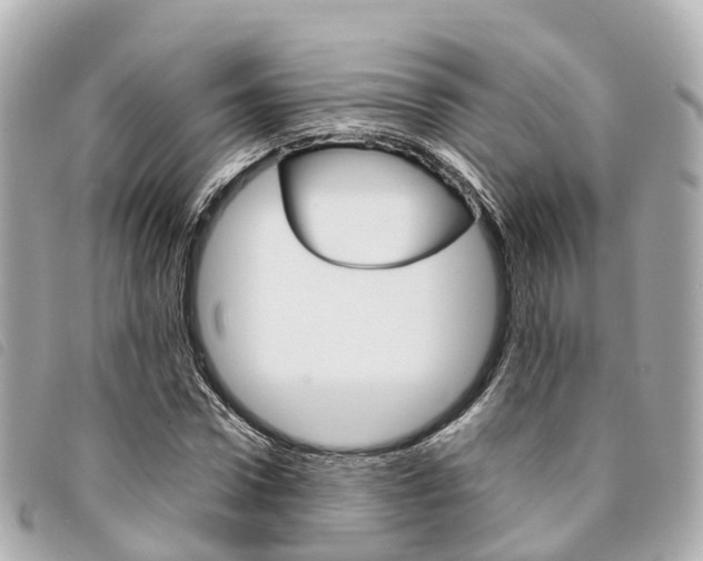 X0000094220922200710260950