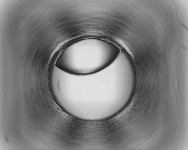 X0000094220923200710260950