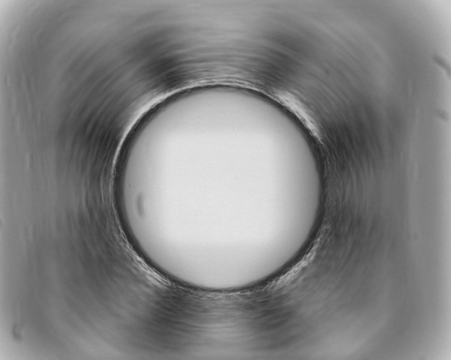 X0000094220924200710260950