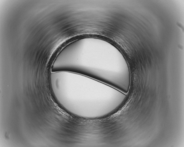 X0000094220926200710260950