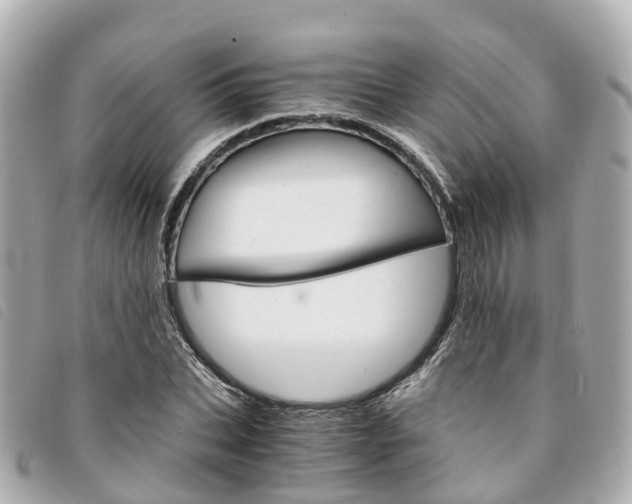 X0000094220927200710260950