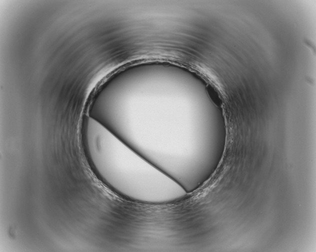X0000094220928200710260950