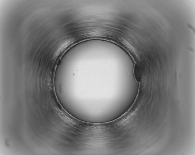 X0000094220930200710260950