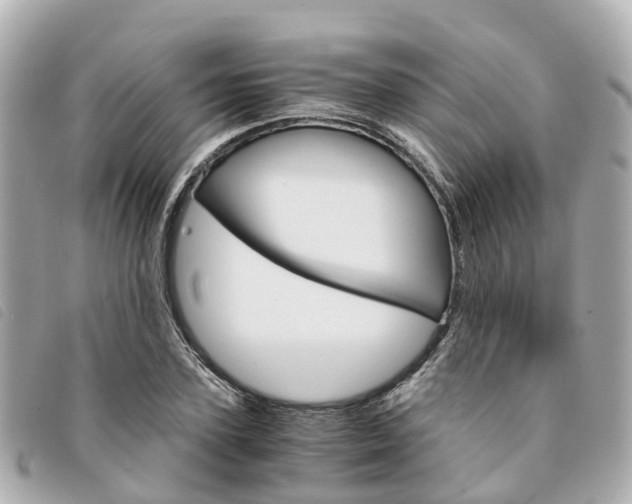 X0000094220931200710260950
