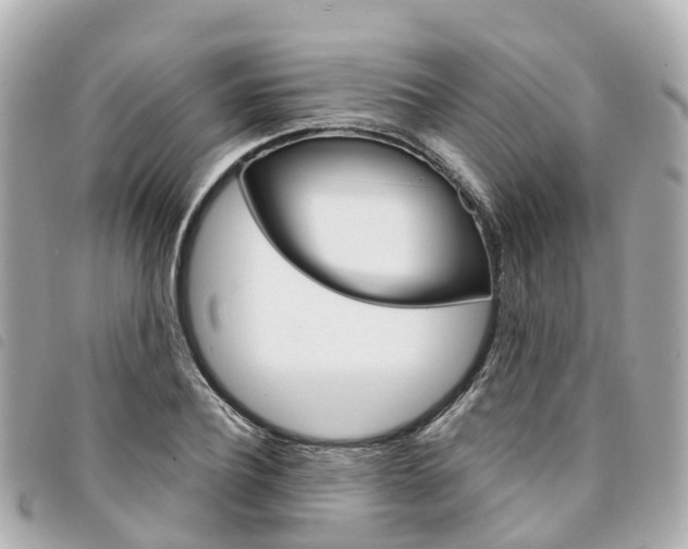X0000094220932200710260950