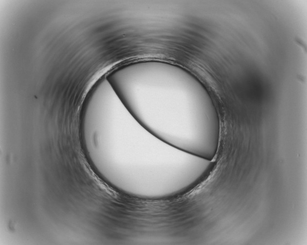 X0000094220933200710260950