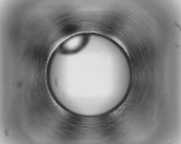 X0000094220935200710260950