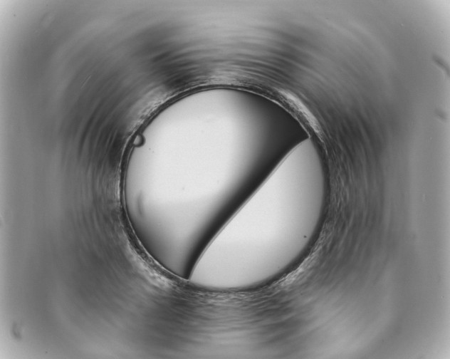 X0000094220938200710260950