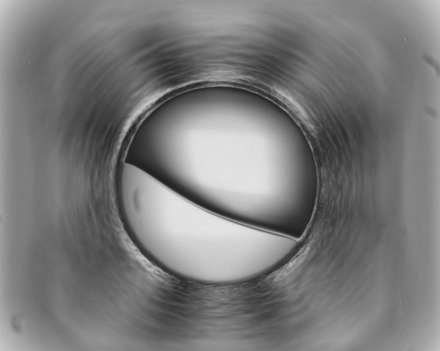 X0000094220939200710260950