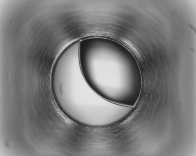 X0000094220940200710260950