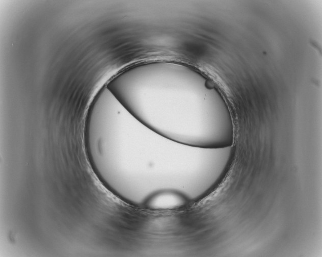 X0000094220941200710260950