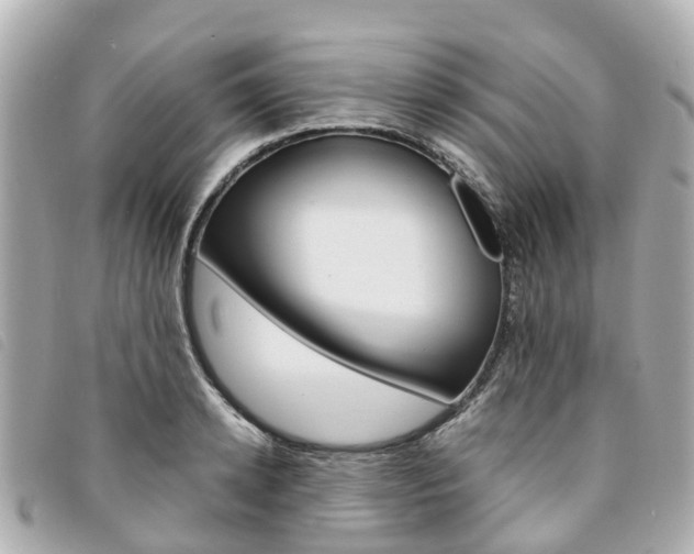X0000094220942200710260950