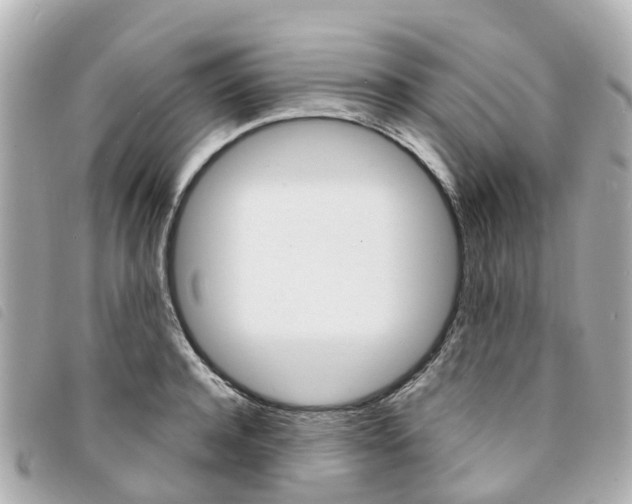 X0000094220944200710260950