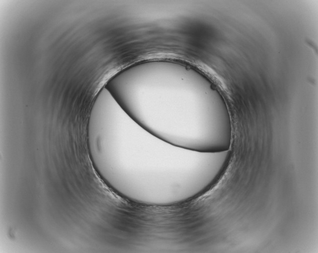 X0000094220945200710260950
