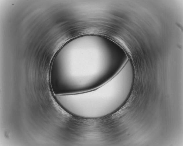 X0000094220946200710260950