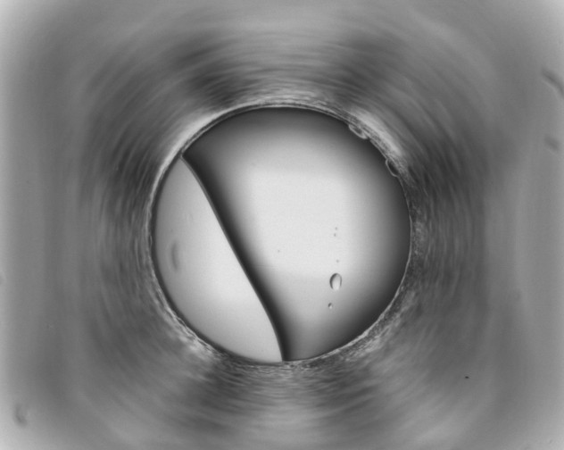 X0000094220948200710260950