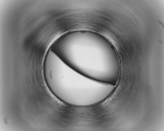 X0000094220949200710260950