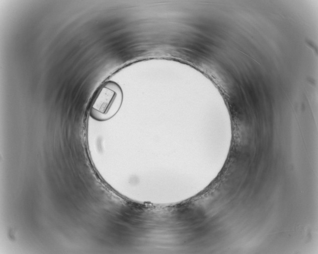 X0000094220950200710260951