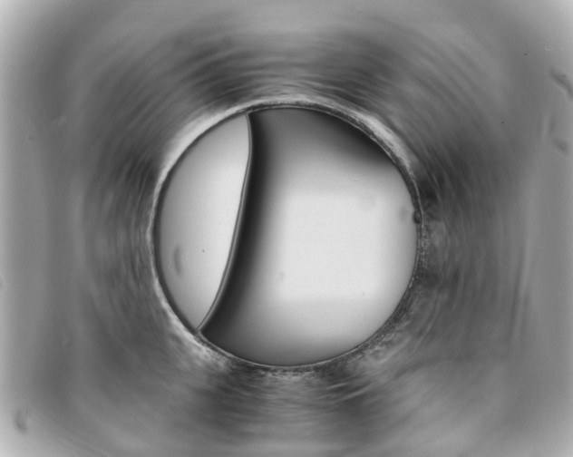 X0000094220951200710260951