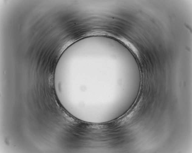 X0000094220953200710260951