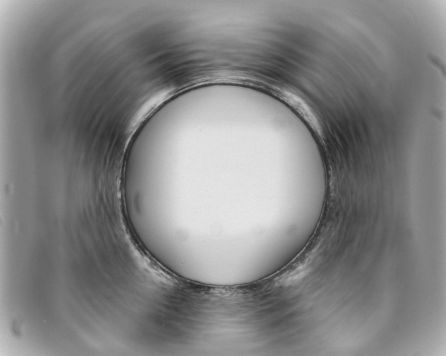 X0000094220954200710260951