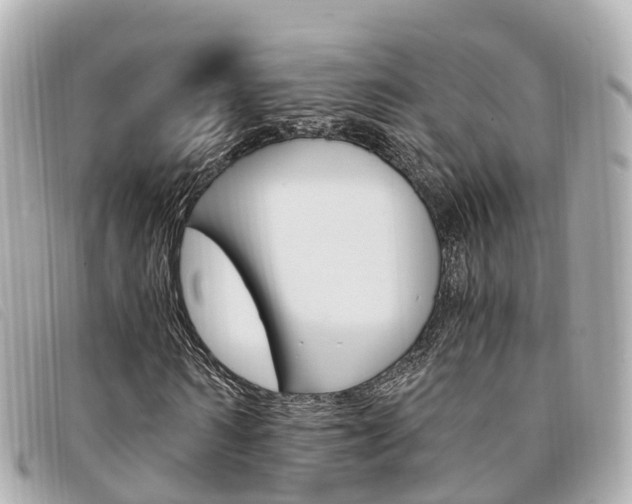 X0000094220962200710260950
