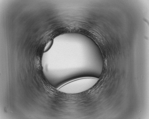 X0000094220963200710260950