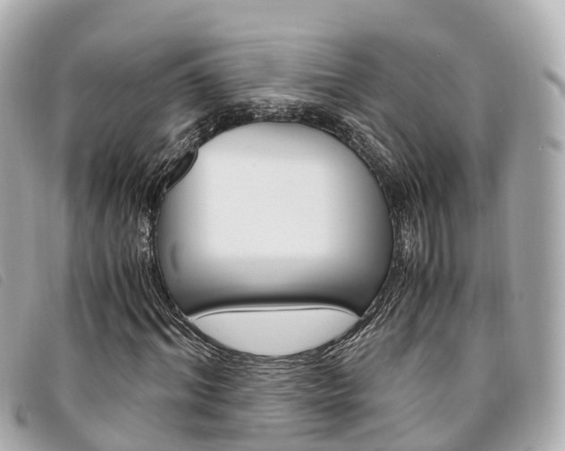 X0000094220964200710260950