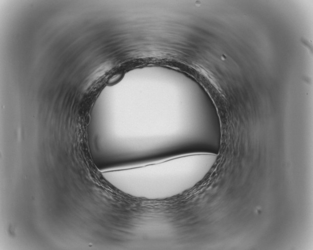 X0000094220967200710260950