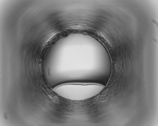 X0000094220968200710260950