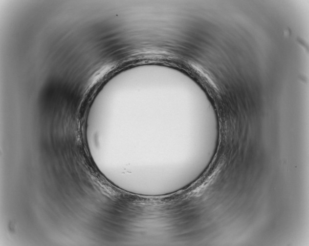 X0000094220970200710260950