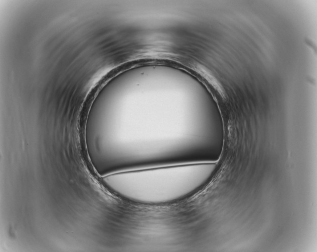 X0000094220972200710260950