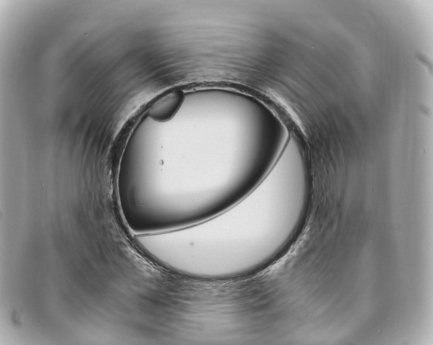 X0000094220973200710260950