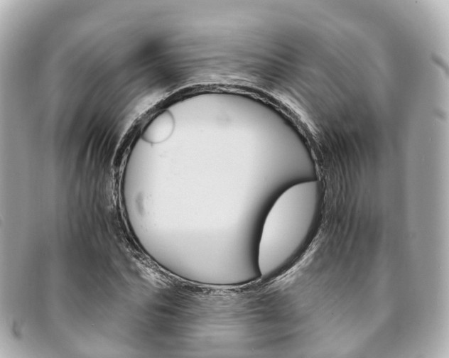 X0000094220974200710260950