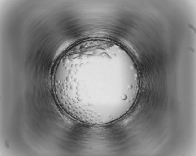 X0000094220978200710260950